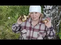 Download Lagu Наконец - то в лес 🙋// собирала много  ГРУЗДЕЙ // лес нас порадовал 👍//