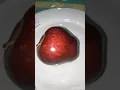 Download Lagu Buah apel berwarna merah berbentuk lonjong berukuran kecil