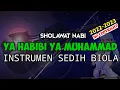 YA HABIBI YA MUHAMMAD | SHOLAWAT NABI (MERDU) | INSTRUMEN (BIOLA AKUSTIK)