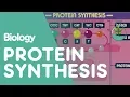 Protein Synthesis Cells Biology FuseSchool