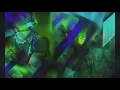 Download Lagu Plant Based Music - Duet with Anthurium Andreanum (Live)