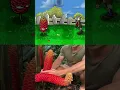 Download Lagu Beehive Ginger 💦 w/@mitchellburns_  (PVZ) #pvz #plantsvszombies
