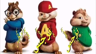 اغنية نرجوسه بصوت سناجب 