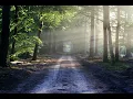 Download Lagu Surah Al-Maidah By Sheikh Saud Al-Shuraim