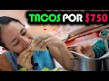 Download Lagu We eat and ENJOY $750 pesos in TACOS