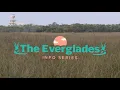 Everglades 101 Everything you need to know about the Everglades National Park