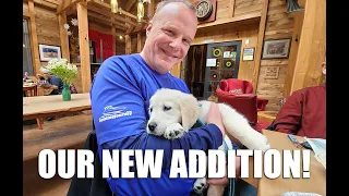 Golden Retrievers and Boats | Boating Journey