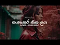 Lagu පැහැසර සිත ළග | Pahasara Sitha Laga | slowed + reverb | මනෝපාරකට