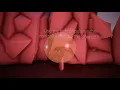 Soundlites-sound visualization-Tutorial Section mp4