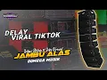 Download Lagu Jambu Alas // Intan Afifah ft. Joko Krewul // Delay Viral