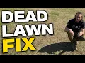 Do you have a LAWN like STRAW - This is how I FIX it