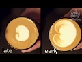 Lagu Sunergos Milk Training Video: Learn Milk Science, Steaming, and Latte Art