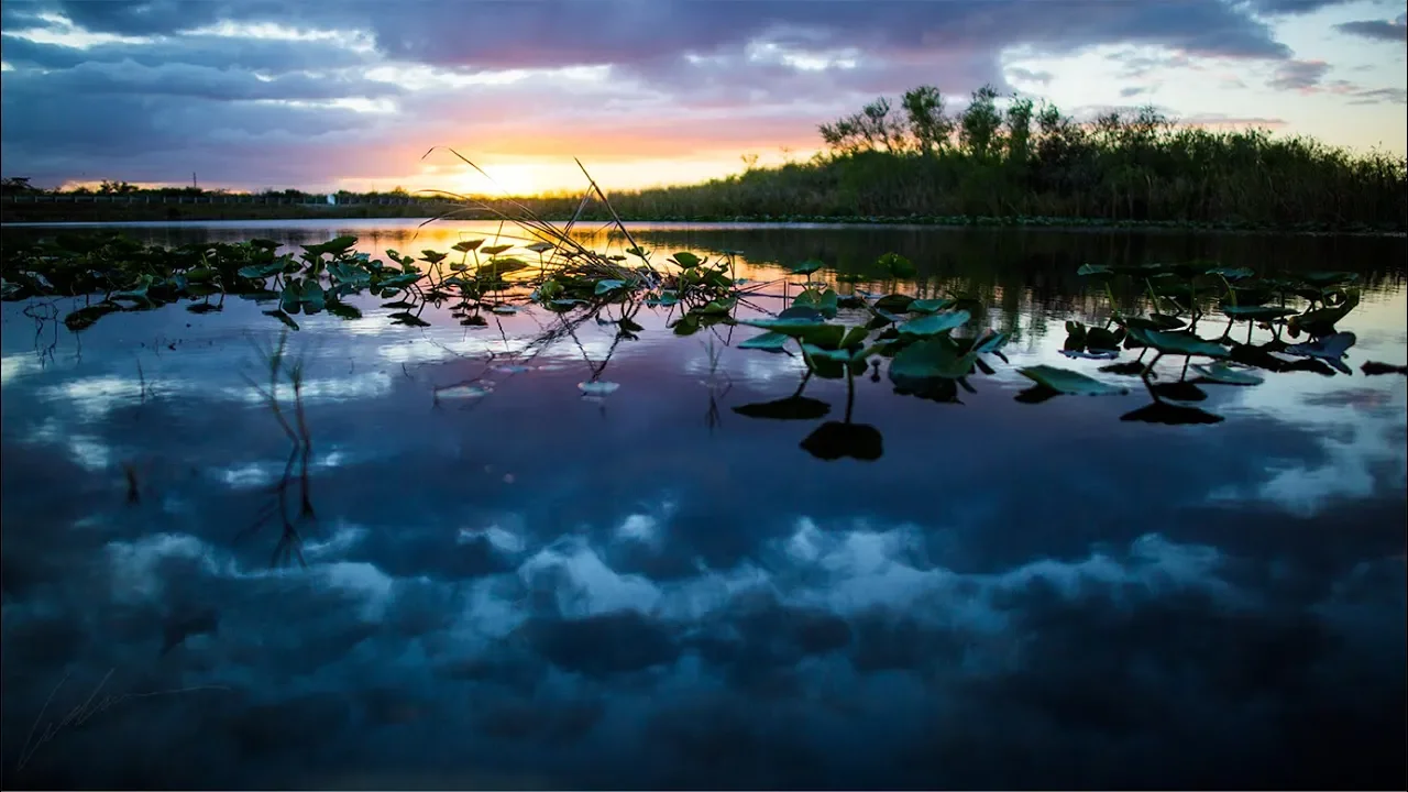 Fighting Water with Water, Rising Seas and the Florida Everglades