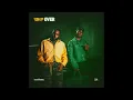 bees & honey, FOLA - when the party's over (SLOWED + REVERB)