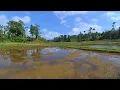 DEGUNG SUNDA LAWAS DIIRINGI ALUNAN SERULING BIKIN MERINDING