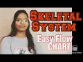 HUMAN SKELETAL SYSTEM Easy Flow Chart