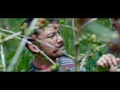 Download Lagu Peran lunak maya di filosopi kopi 2