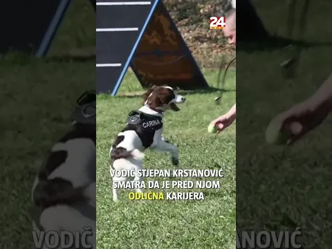 Iza ovog pogleda krije se opasna zvjerka od koje drhte najveći krijumčari droga i oružja