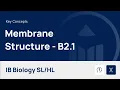 Membrane Structure IB Biology