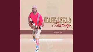 amaloyo