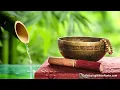 Bamboo Water Fountain + Tibetan Bowls | White Noise for Sleep, Studying, Meditation, Yoga | 10 Hours