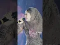 Download Lagu Laut(Silvi Kumalasari)