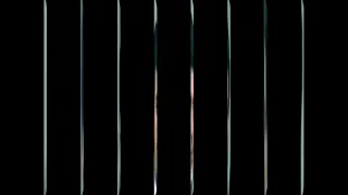 فؤاد غازي موال يا طير سلملي ع ضيعتنا 