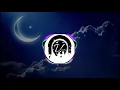 Saibo | Midnight Edition | Virtual 3D