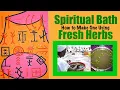 How to Make A Fresh Herb Spiritual Bath for Cleansing Uplifting