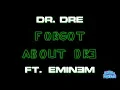 Lagu Forgot About Dre - Dr. Dre ft. Eminem (Karaoke)