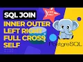 Mastering SQL Joins in PostgreSQL A Step-by-Step Example