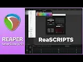 REAPER Scripts for Beginners Setup Guide