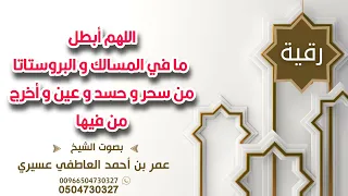 رقية اللهم أبطل ما في المسالك و البروستاتا من سحر و حسد و عين و أخرج من فيها عمر العاطفي 