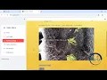 PYTHON Web Application - Crop and Weed Detection classification Using DL MyProjects Mart