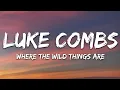 Download Lagu Luke Combs - Where the Wild Things Are (Lyrics)