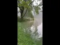 Floodwaters nearly cover cars in Muncie after record-breaking rain fall