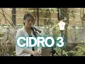 Download Lagu CIDRO 3 - CIPT.FARIED DS || COVER BY DYAH NOVIA
