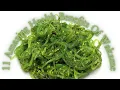 11 Amazing Health Benefits Of Wakame
