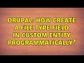 Drupal How create a file type field in custom entity programmatically 2 Solutions