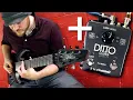 7 String Loop Pedal