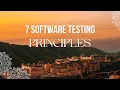 7 software testing principles