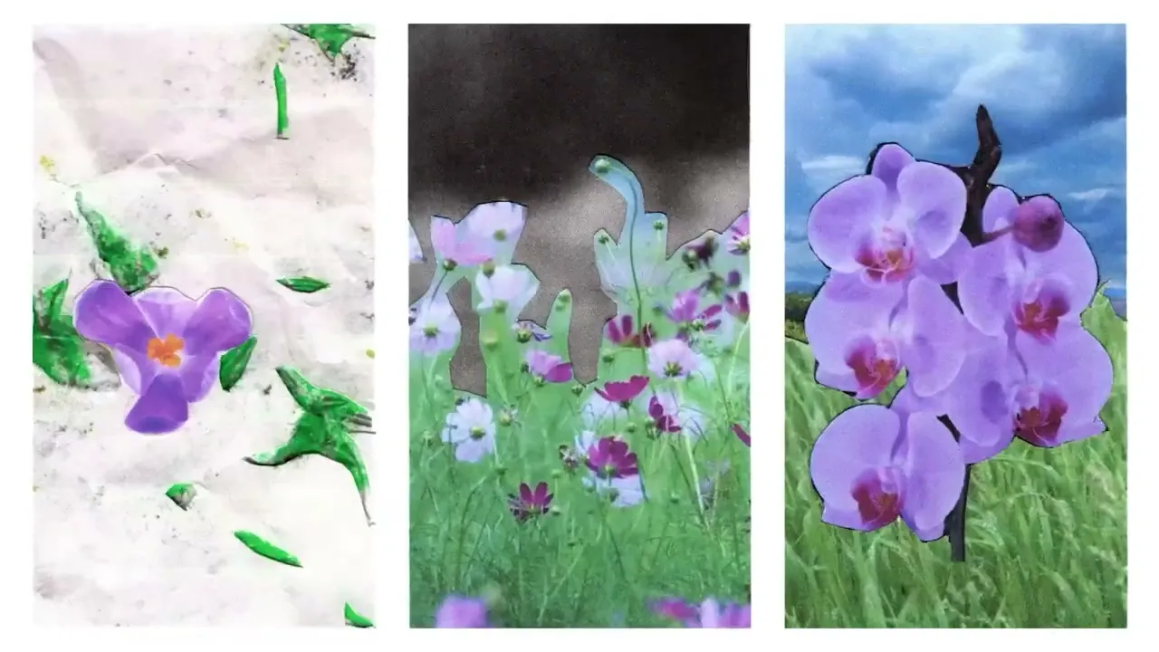 Soccer Mommy channel featured image