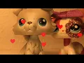 Lps mv- In the end