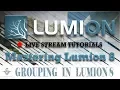 Lumion 8 New Grouping Feature Lumion Live Stream Tutorials