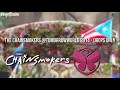 Download Lagu The Chainsmokers @TomorrowWorld 2014 - Drops Only