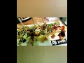 Shall We Dine - Jinya Ramen Bar