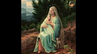 لحن تى شورى بالعربى المجمرة الذهب 