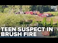 Juvenile suspected of starting brush fire behind Renton apartment complex