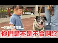 Download Lagu 【好味小姐】你們是不是不合啊！？一起去散步發現...｜好味貓日常251