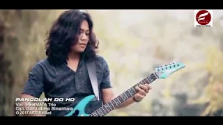 Download LAGU BATAK TERBARU 2018 PERMATA TRIO - PANGOLAH DO HO (Official Video) MP3